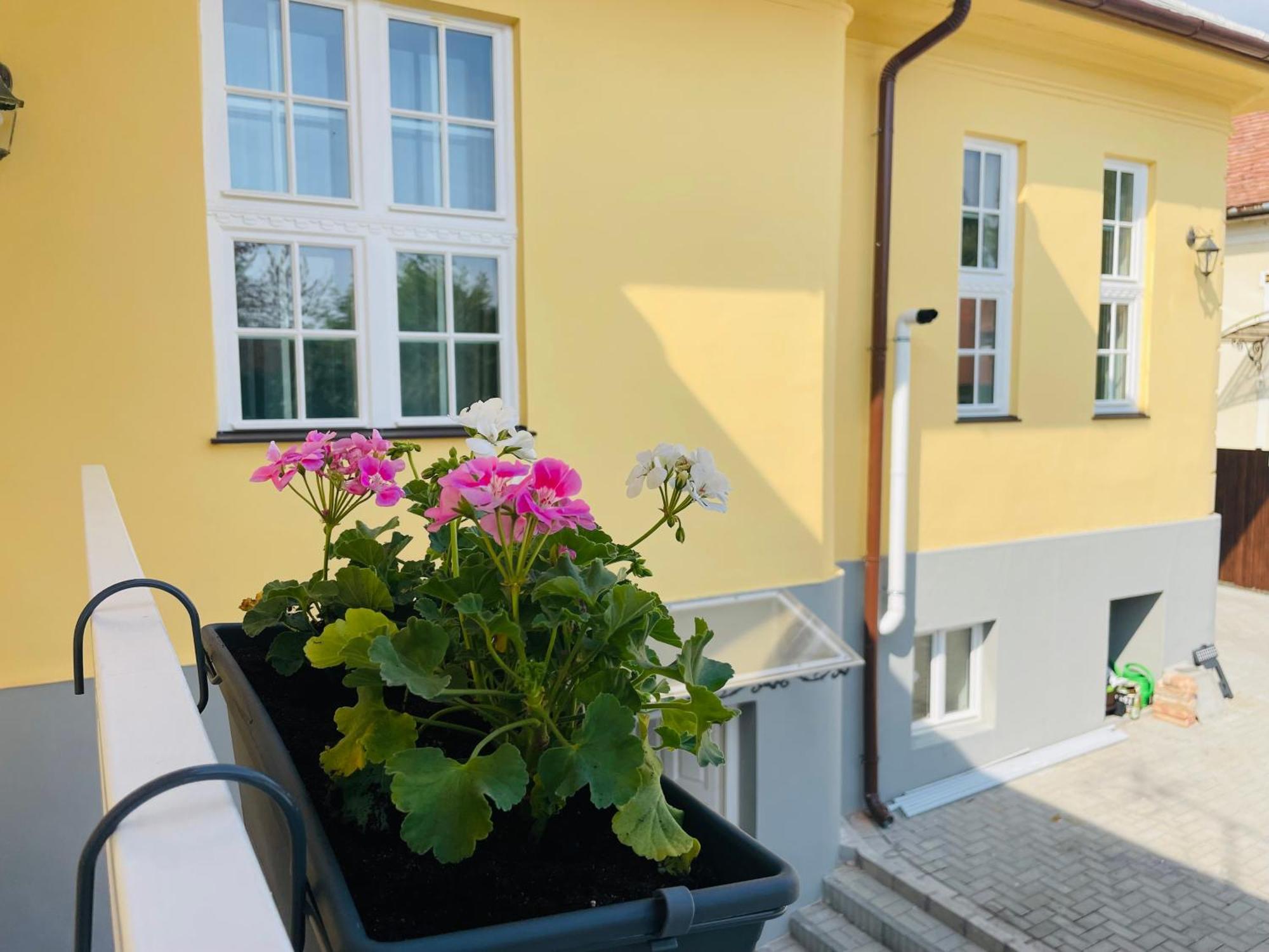 Villabaroque_Eger Extérieur photo